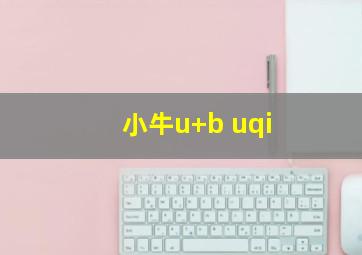 小牛u+b uqi